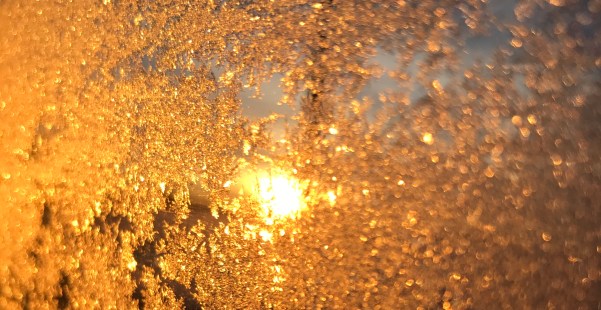 cea02b6b-bc28-4cc2-a1c8-9ca6b0b742d7