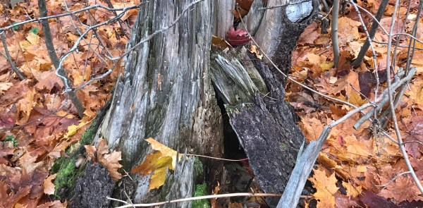 5A2D5ED9-D923-4037-A048-3D65D40CFBE2