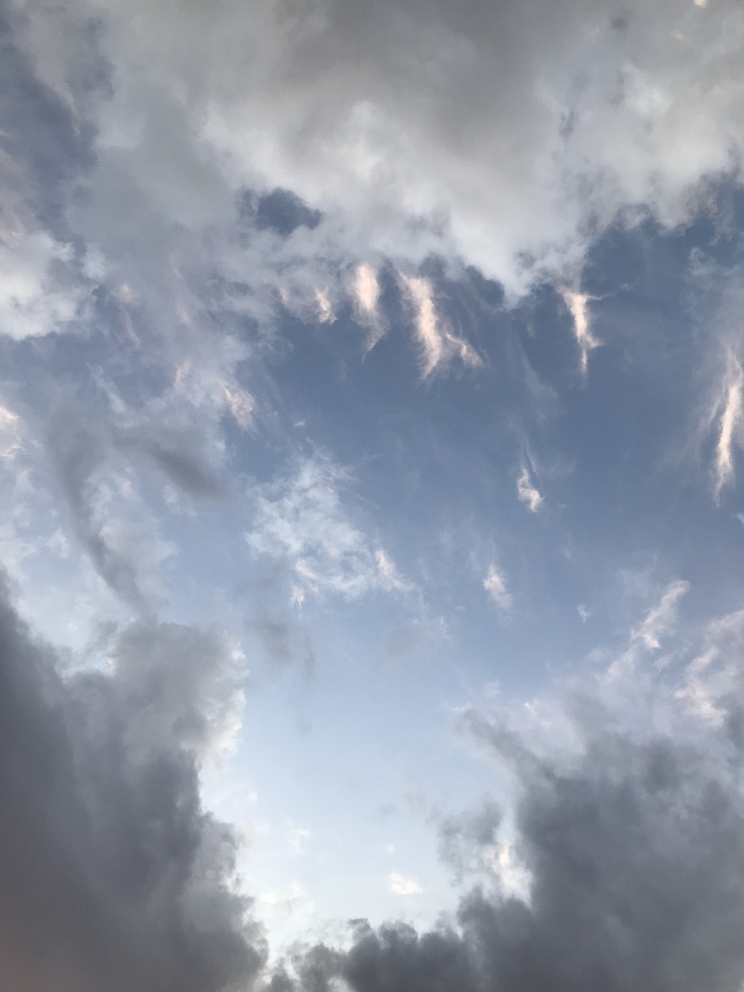 E41754F4-4CC7-40A1-9B6A-80207CEA0658