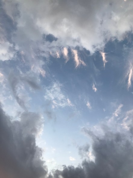 E41754F4-4CC7-40A1-9B6A-80207CEA0658